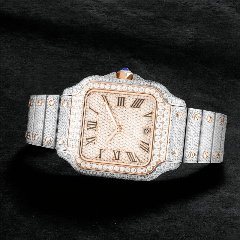 Luxuriöse VVS Moissanit-Uhr fü – Vvs Jewelry Watches Bewertung und Preis